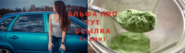 гашик Бородино