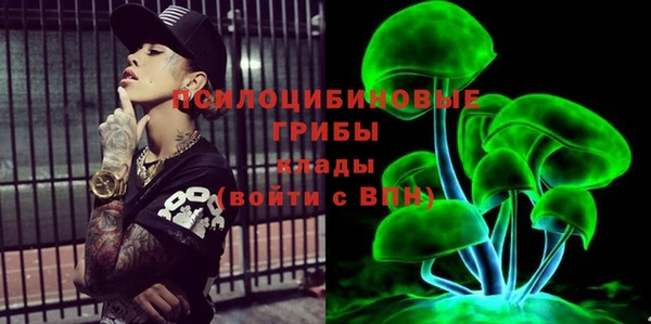 гашик Бородино