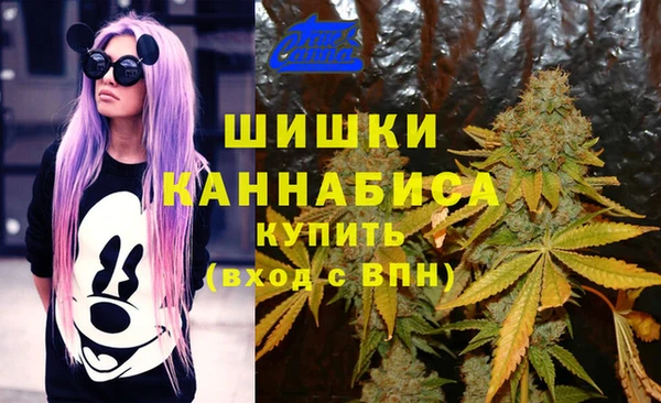 дживик Бугульма