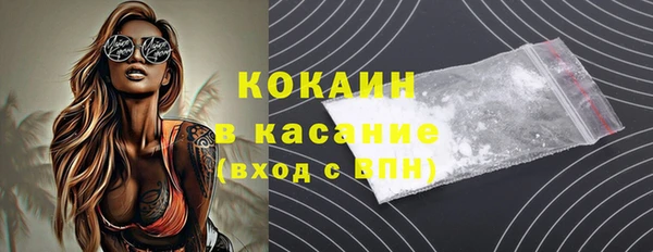 гашик Бородино