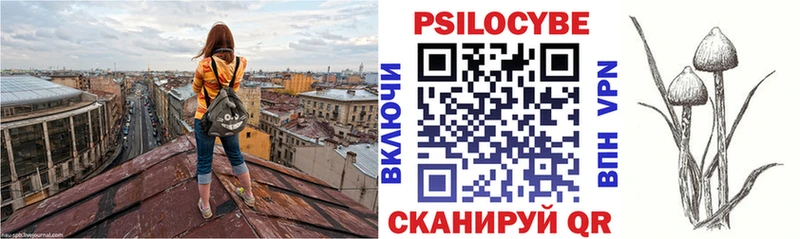 где продают наркотики  Медногорск  kraken ссылки  Псилоцибиновые грибы Psilocybe 